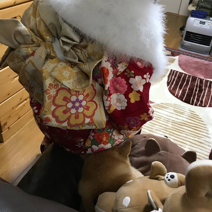 2e4b0b92 4c3e 44a3 acd8 3f5c86d0ca4f 1515372754995