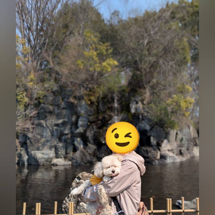 2e4b0e4a ec3e 4b0c bda6 5d7a4d993bbd 1773562614197