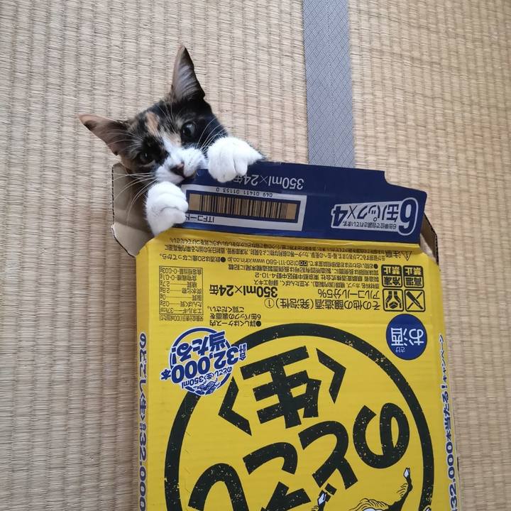 2e4b2bd4 de2c 4ace b632 9e0ef1df94f3 1605622529817