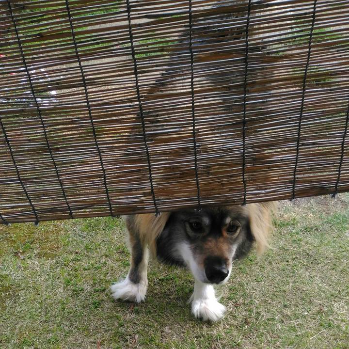 2e4b5e5f a533 4e50 9c57 fd23bed29022 1554962078490