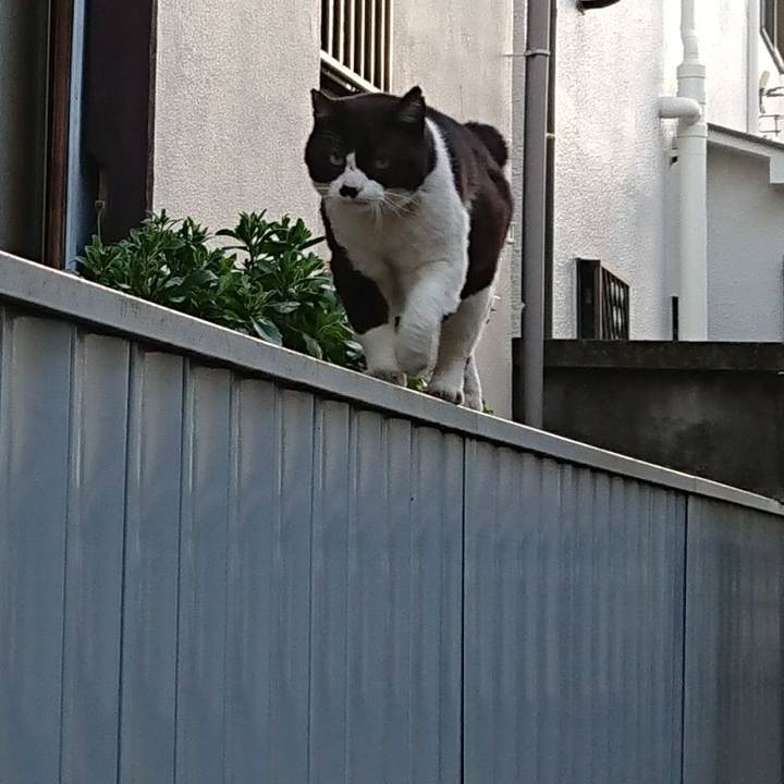 2e4b6ab5 c157 488b b683 8de6e1d96892 1613894563775