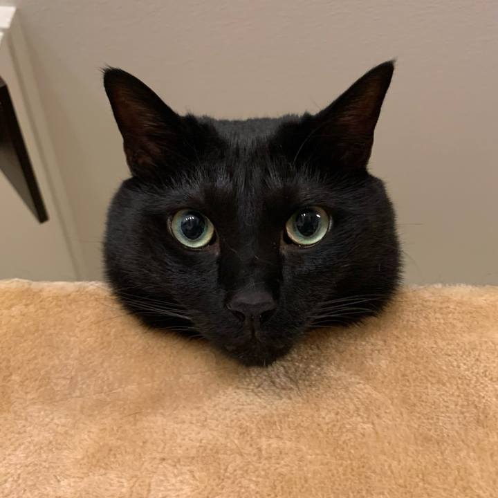 2e4b7023 9a3b 4d8b b244 1bb216a55f70 1653485835155