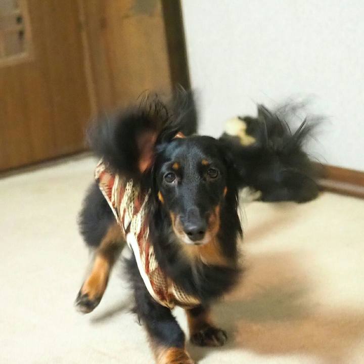 2e4bff7d 3452 45b1 a276 27859c48a949 1565061323939