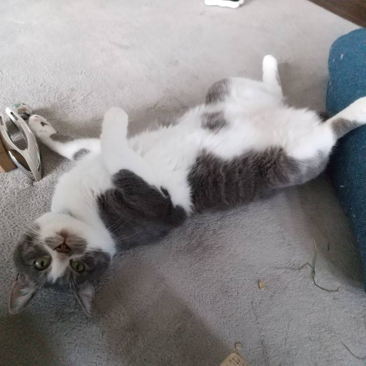 2e4c25be 6650 472e bc11 fb73458dbb48 1625890444767