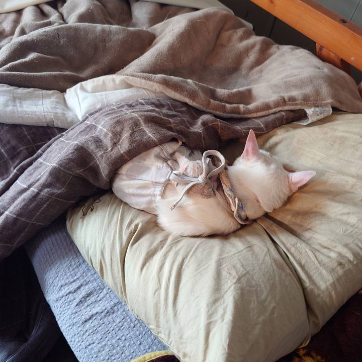 2e4c25dc 2f5c 4de2 8d44 7335f8d54682 1773811178034