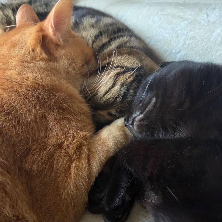 2e4c5f57 86c2 4f36 9ff2 182e9653ec73 1766291377465