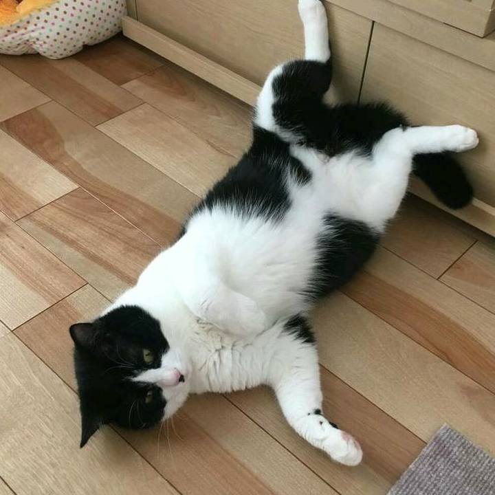 2e4c6e21 918f 460f 93d3 92b8084f3b95 1558791149491