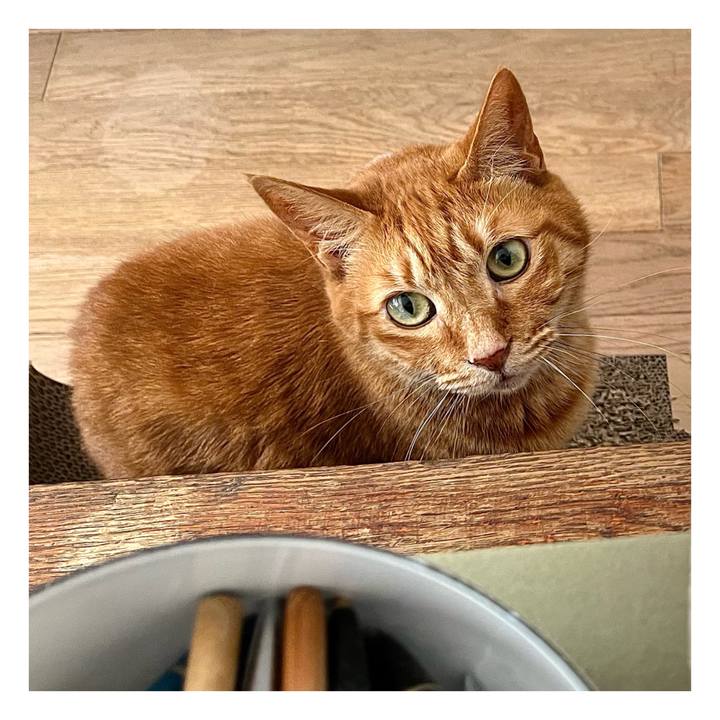 2e4c8681 55ae 41ea a50d e038e17c2d57 1684372333626