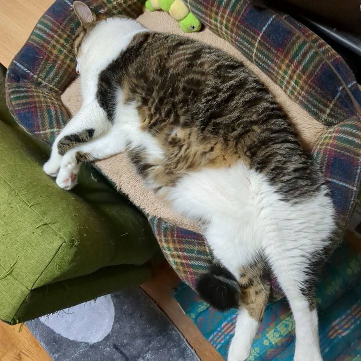 2e4cbadc 59ea 4d3e b9b3 fb306ad11ef3 1690895211299