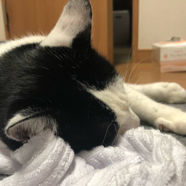 2e4cdc4a 0bbf 4eba b413 534a0568bd43 1546372177558