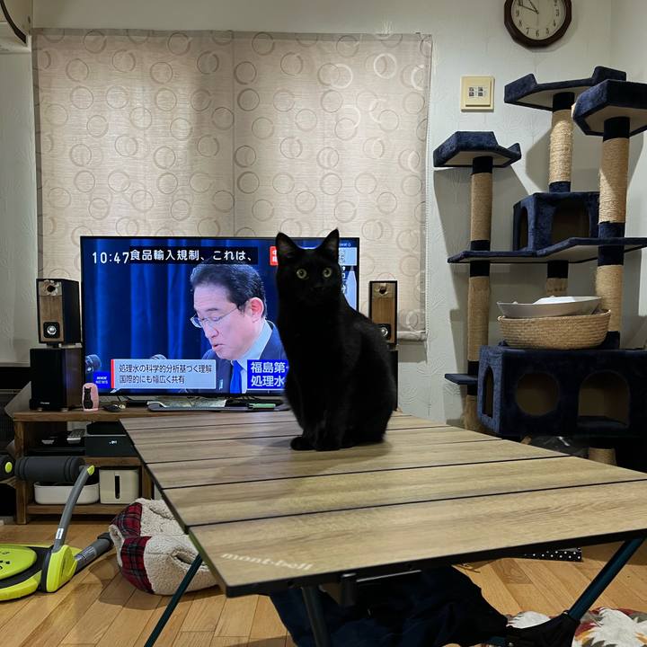 2e4ceb28 fbb7 44ec 93aa 46ccd6a4cd99 1700272312730