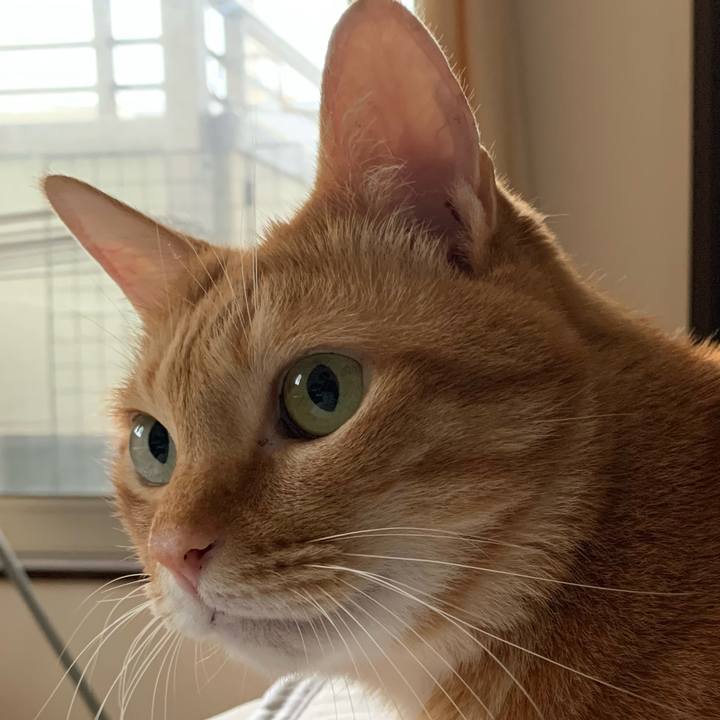 2e4cfadc 0210 41b4 9798 0be9ce1b75a3 1631315260051