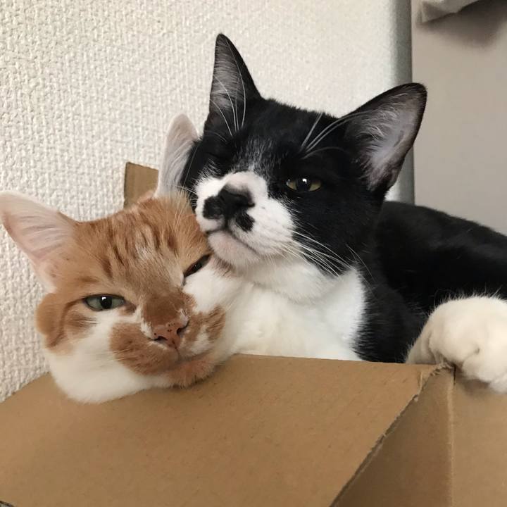 2e4d05cb 0410 4c82 a45e fa2c59d26400 1609299710433