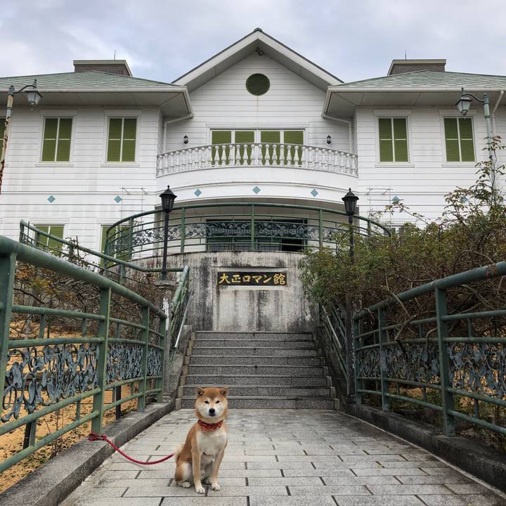 2e4d32d9 16e2 4302 bdae d3178ad61680 1543388030942