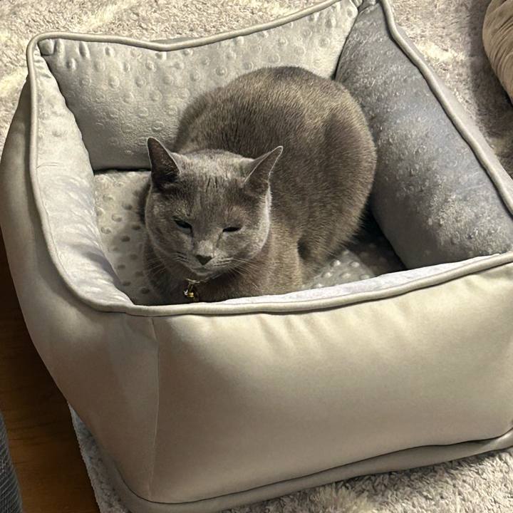 2e4d7851 ea42 4065 ba93 b4ee0325cfcb 1706919266211