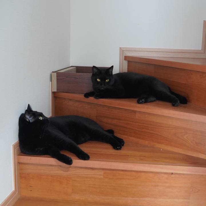 2e4d828d d813 4703 a944 bcb9d7eaa26f 1599436572353