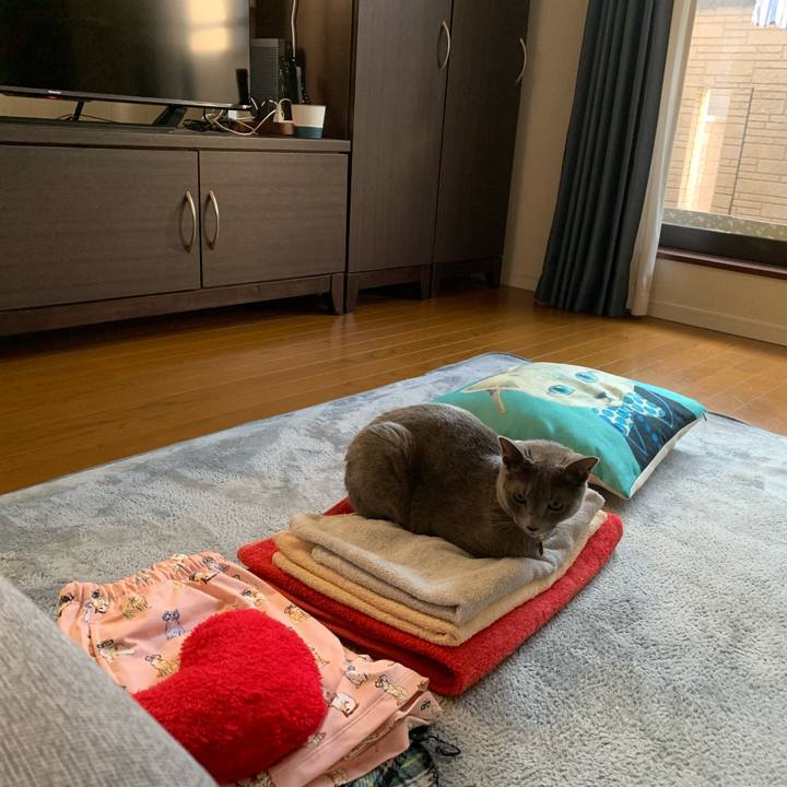 2e4db6b5 0659 425e 884f 0f4c826bd3d8 1627799142416