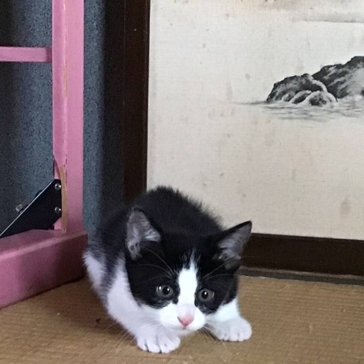 2e4dd366 ec0b 417e 8c05 d5109cdf7753 1624516166196