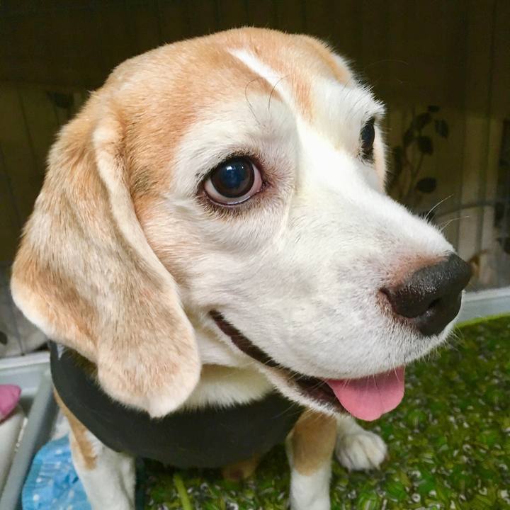 2e4dd407 bcaf 4d3b 990e b62016751327 1567839216399