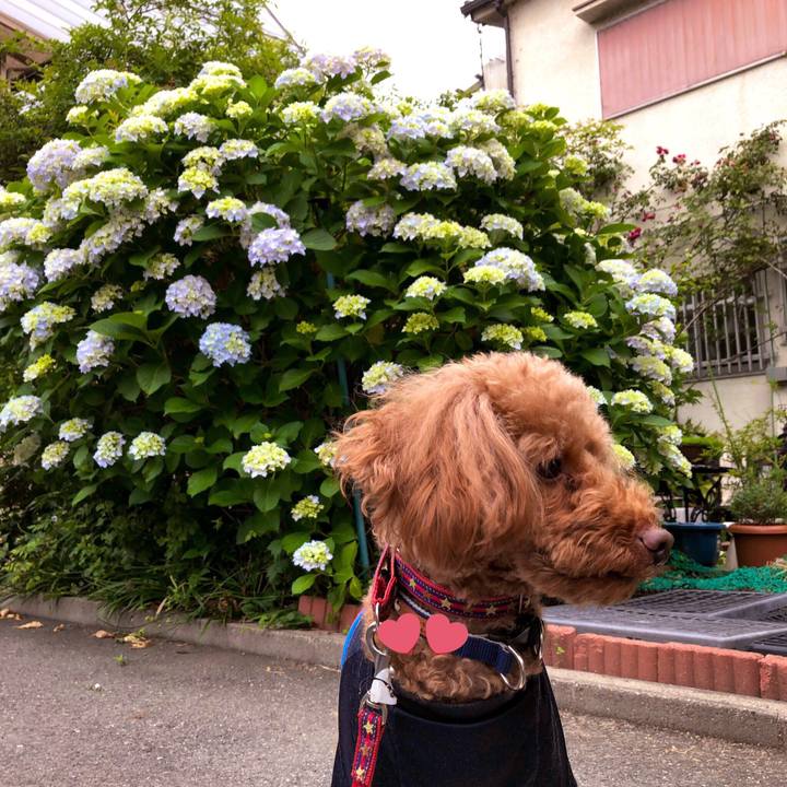 2e4de367 73bf 4131 8717 c039b7d43f5e 1559469044173