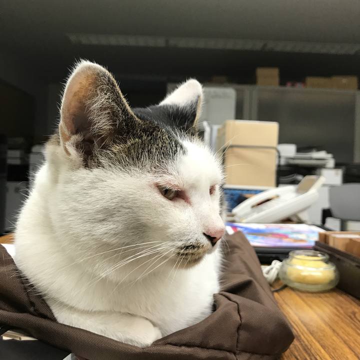 2e4e237c 960c 4514 b934 73dd41a573f1 1535965466815