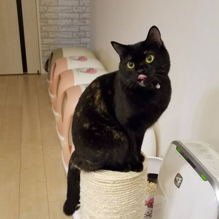 2e4e2ff7 82a9 491a 82ef 2af92ba29ac7 1519130536183