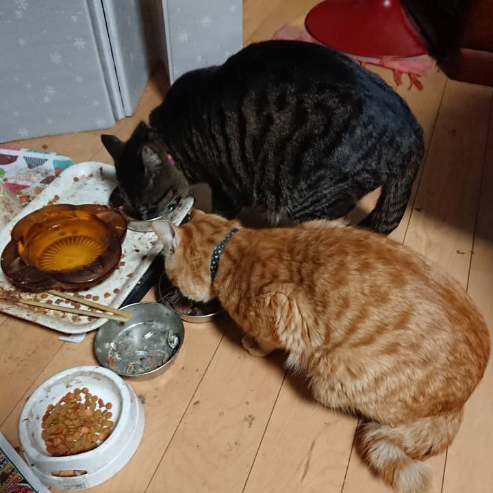 2e4e3e8d 1bd4 465b ae04 f7cbdcc1f5fa 1648204443112