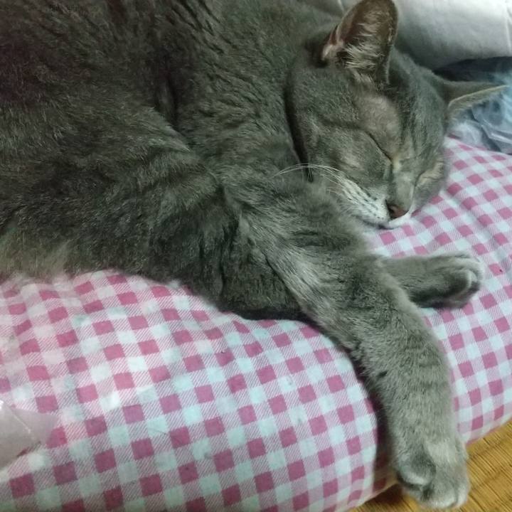 2e4e418f a483 400f b111 b476385d7dad 1666010867103