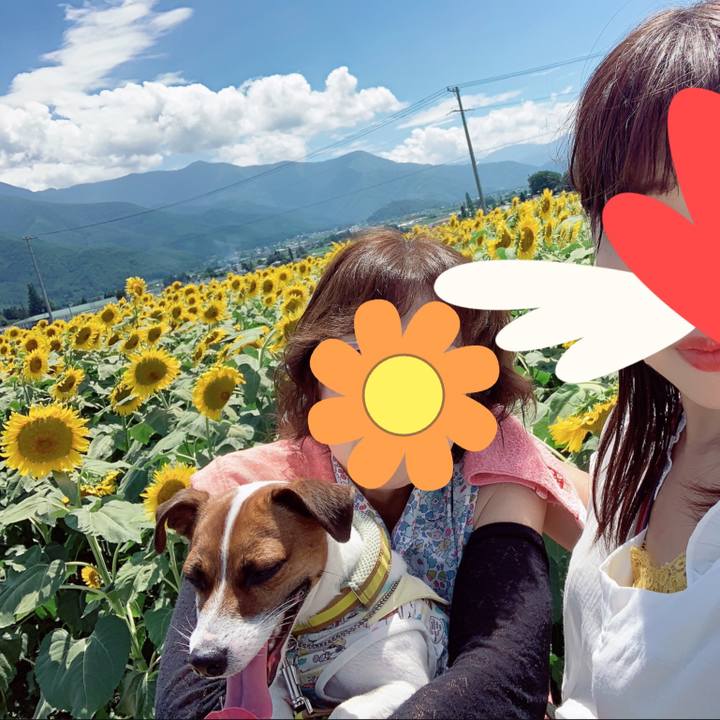 2e4e997a 0633 47b5 a952 bedc4d310c34 1565668332606