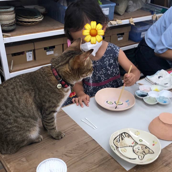 2e4e9bc9 e6cb 4c9c a4b0 0cec41e9ff8e 1628478860533