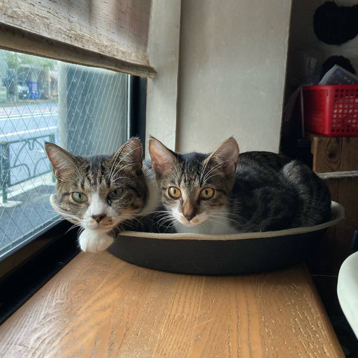 2e4ec706 332c 40b7 b4ea 4064a4023b98 1696892631961