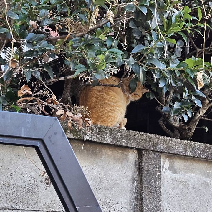 2e4ed886 4c23 48b3 b0c0 4f12b0f4d3f7 1706946339356