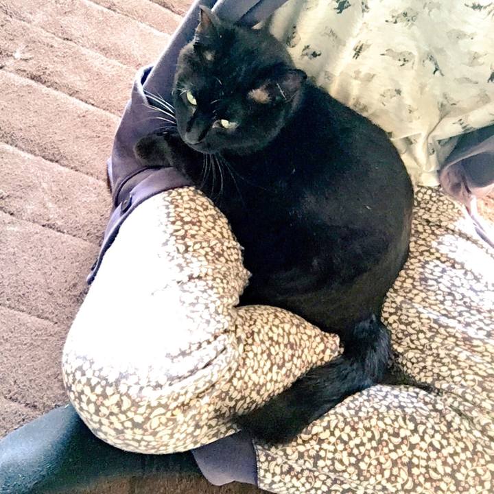 2e4f01f1 58db 485c 84b9 bfe69f0d94a3 1523146952019