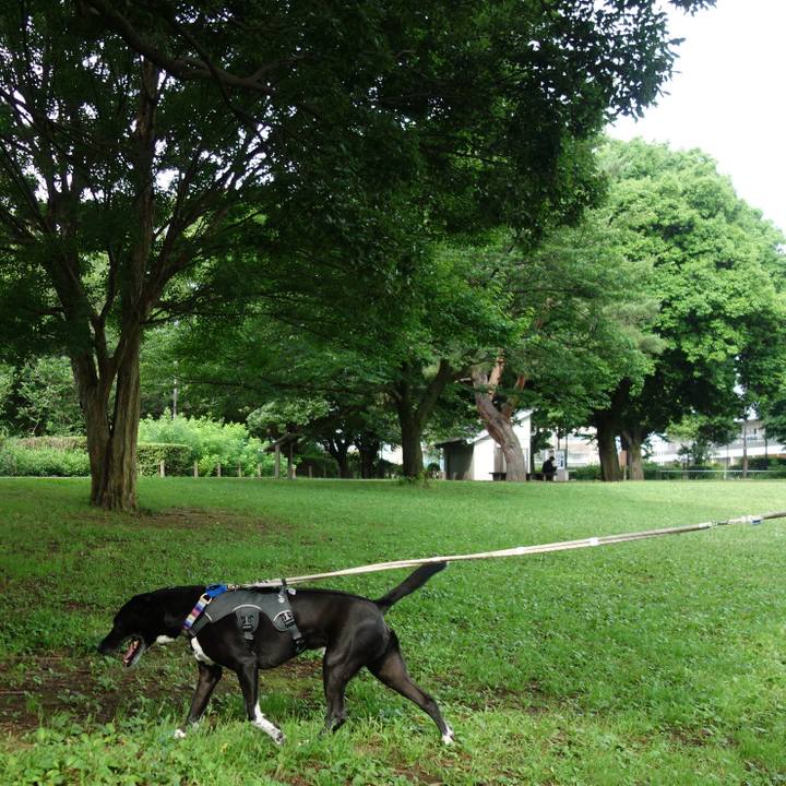 2e4f0633 65d7 445d a9f7 2900cb6b9637 1655684156448