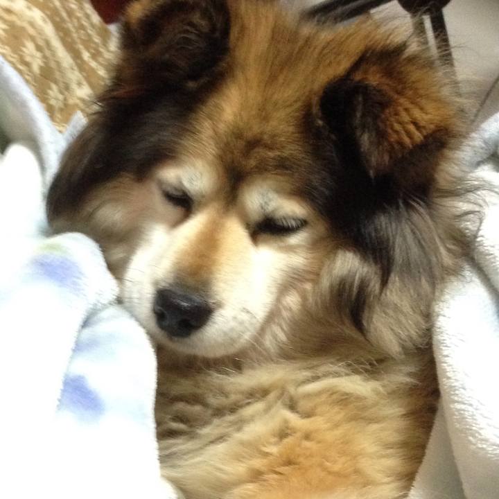 2e4f0ab7 e41d 445b 862f cc720914dacb 1549630314714