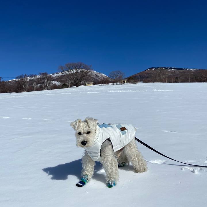 2e4fb9ee 2064 4ff2 81b9 ff52ab604e97 1771813201921