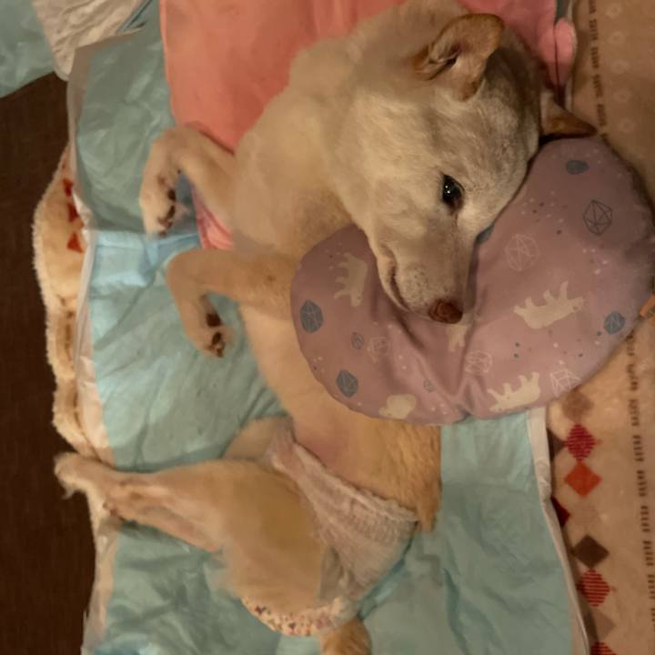 2e501441 dd88 4891 b57e b50a64fbb01b 1670595069105