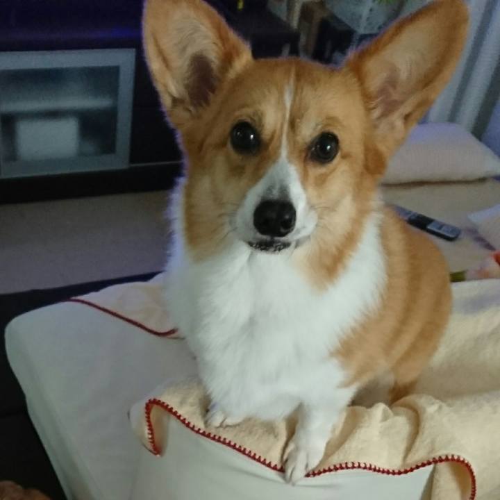 2e505302 ed87 4ec8 b848 3f7c9f4e243a 1531998258555