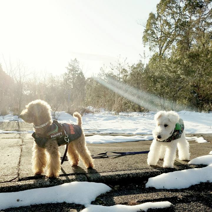 2e5054d0 99ef 4fe0 82f9 037c0cc4bc9a 1517875029143