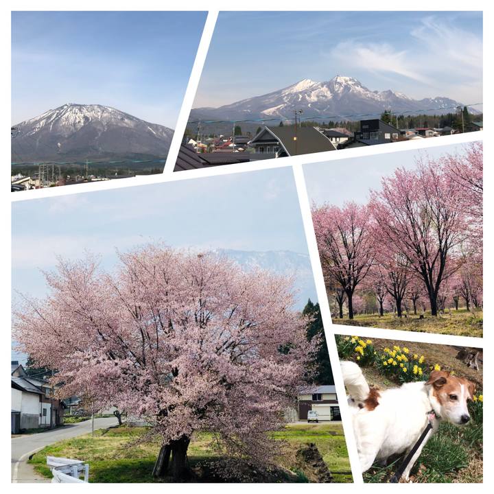 2e50634e 2900 47b5 aa93 d75cda29d8bb 1524457043273