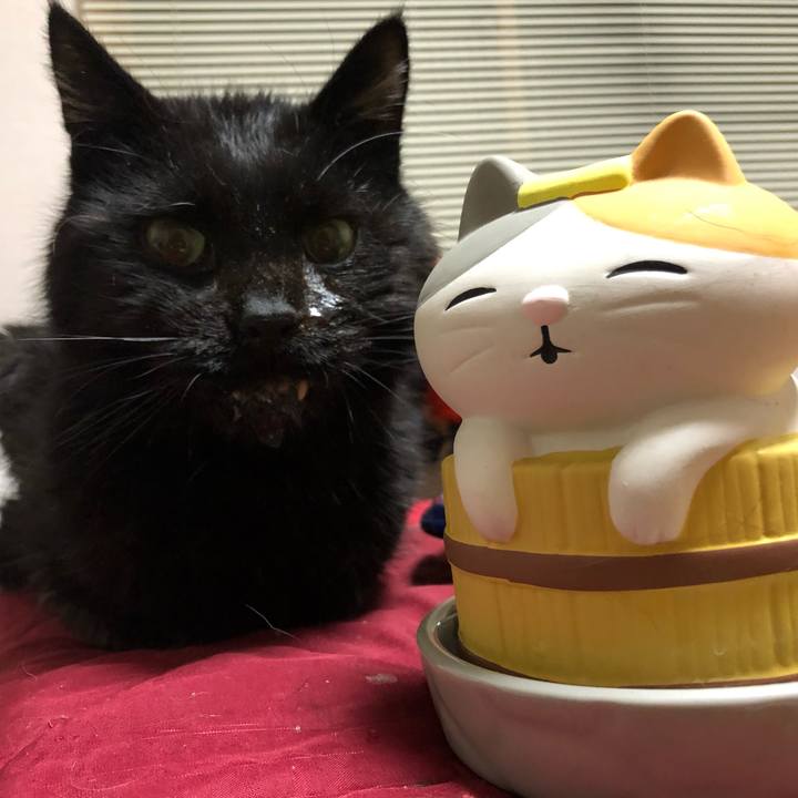 2e50b15f 5887 4bbf ab23 f397f2daccf4 1646559881229