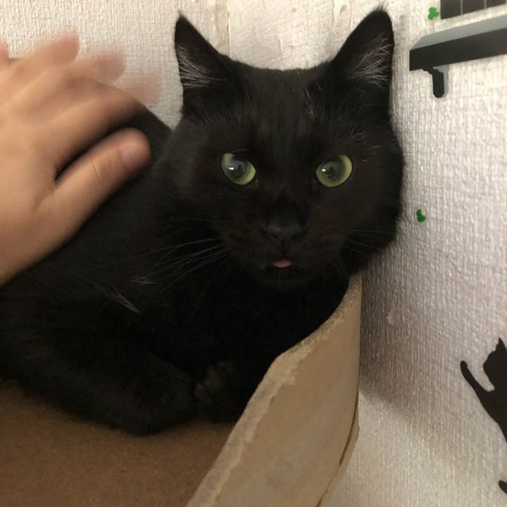 2e50b90c ed0e 49e4 ac82 db97b9c73907 1564899723073