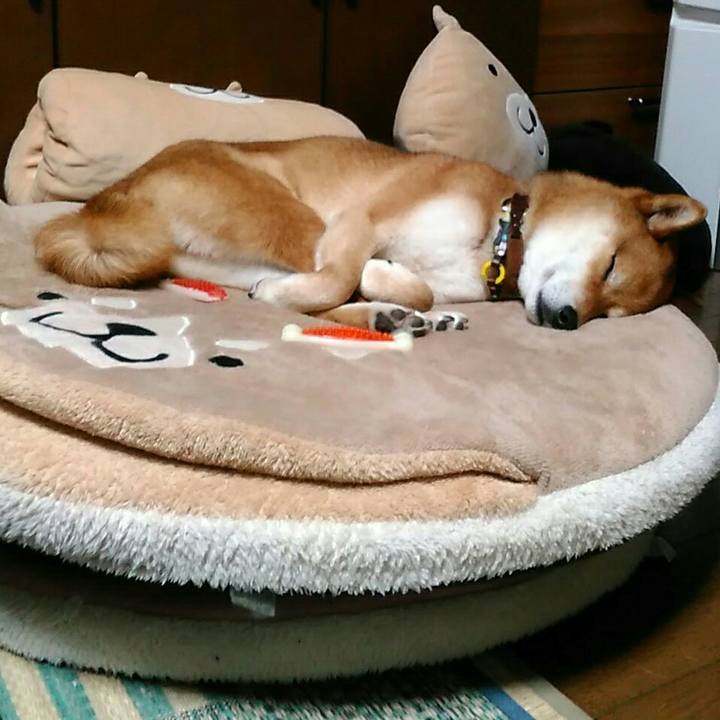 2e50cc06 238a 4b0d beb9 72ad74c85006 1558353775014