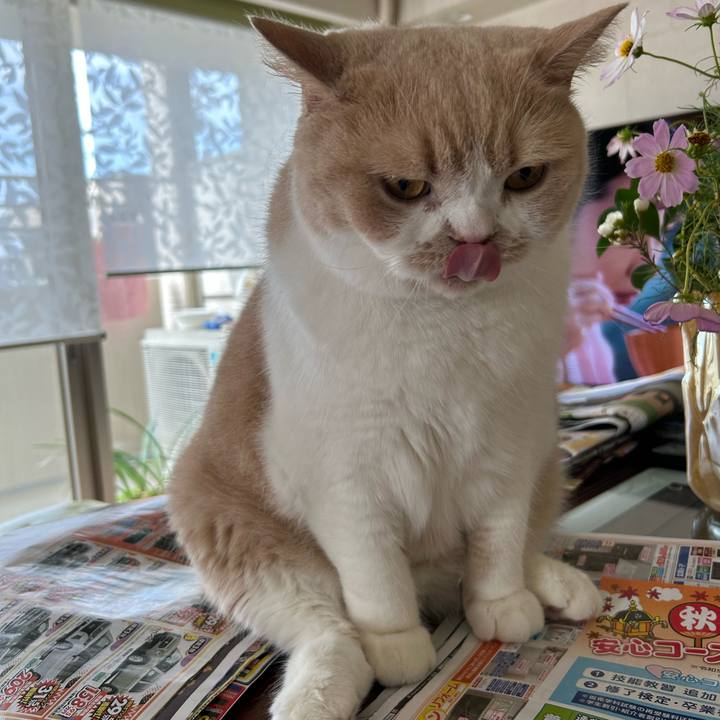 2e50df3b f601 405b a57e 7470031bfb61 1696657695215