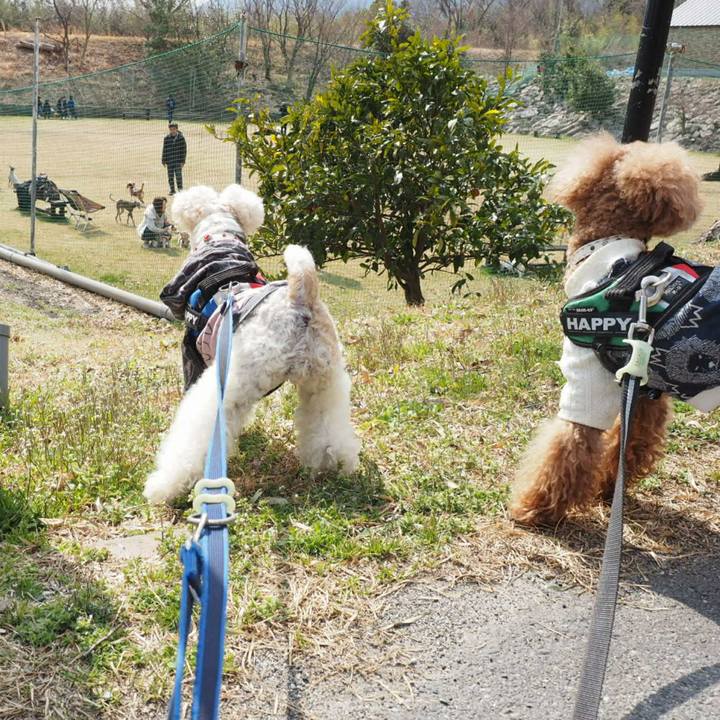 2e50f772 4079 4c75 bb3d 4f11cb9e9cd4 1520860532570