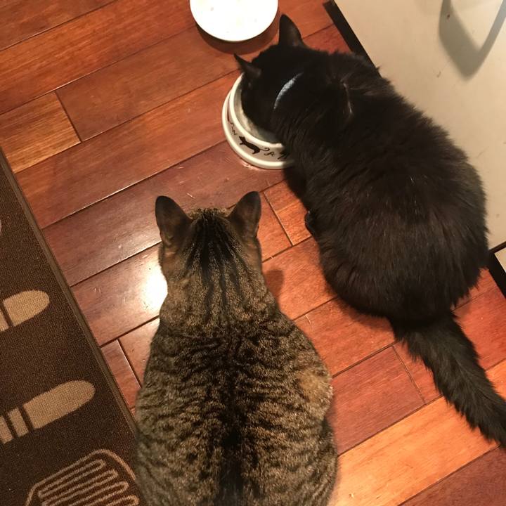 2e510ddb fb24 4898 a8ac 466036dc1a42 1522505284069