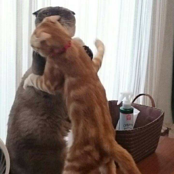 2e514ce3 d162 4dc2 a8bc 4dbe79fd6b56 1510544101823