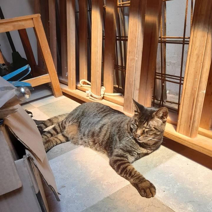 2e515ed6 a02d 4fd1 bc7e 5f81088cdcee 1767390198023