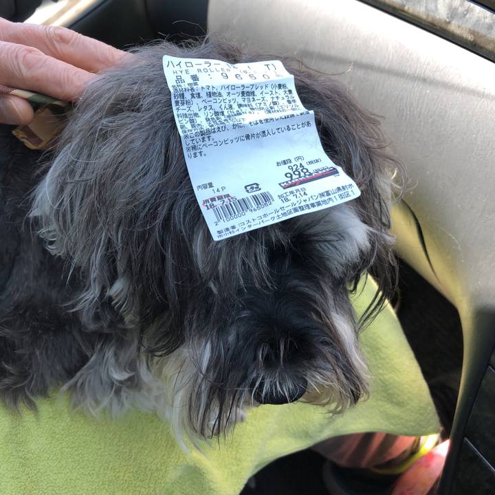 2e516aa7 e6b6 4850 8c09 17b51bbdd1b8 1531538896668