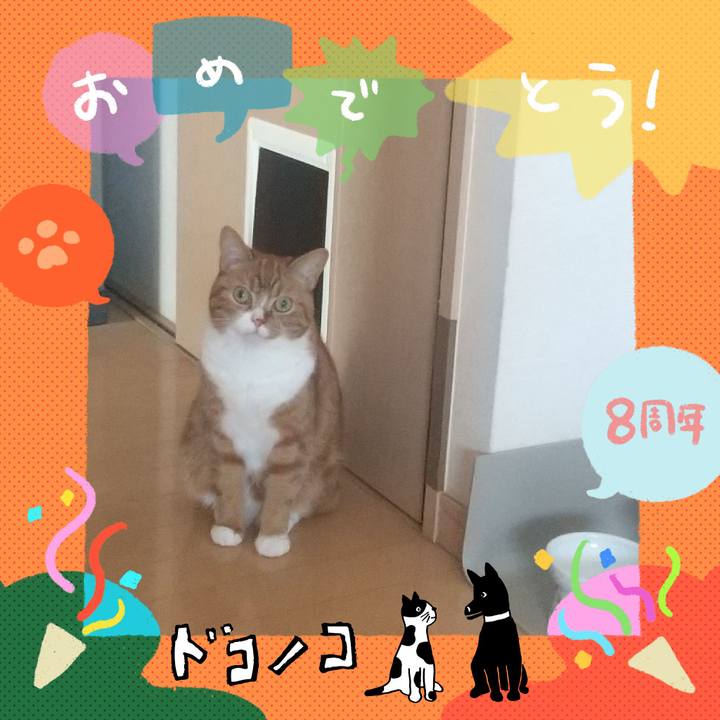 2e517627 3ff9 43e8 b958 af96963de98f 1718332931098